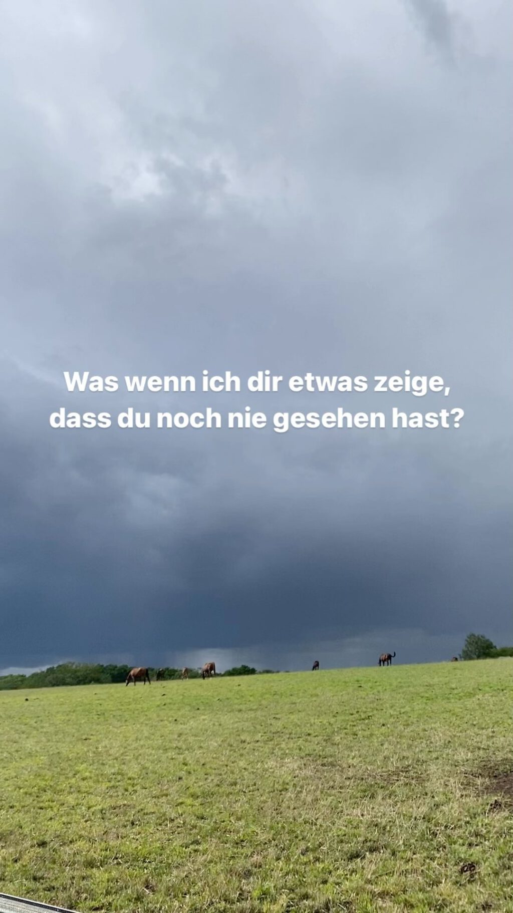 Instagram post from enlitec. This post is in position 20.